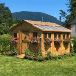 Cedar Sunshed 12 x 12 ft Western Red Cedar Garden Shed in Green with Workbench - Image 3